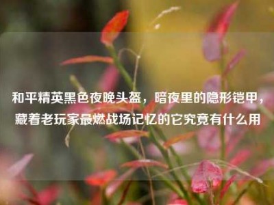 和平精英黑色夜晚头盔，暗夜里的隐形铠甲，藏着老玩家最燃战场记忆的它究竟有什么用