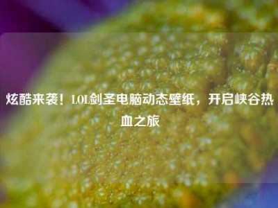 炫酷来袭！LOL剑圣电脑动态壁纸，开启峡谷热血之旅