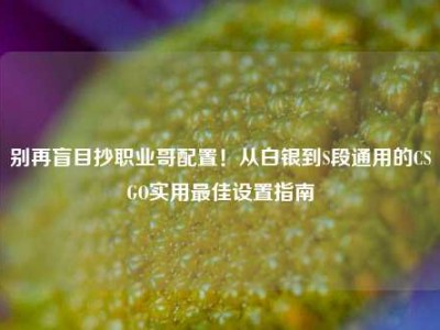 别再盲目抄职业哥配置！从白银到S段通用的CSGO实用最佳设置指南