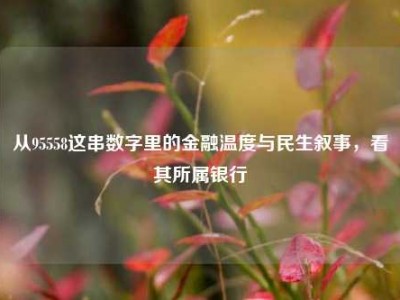 从95558这串数字里的金融温度与民生叙事，看其所属银行