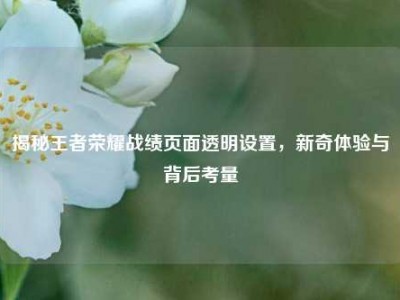 揭秘王者荣耀战绩页面透明设置，新奇体验与背后考量