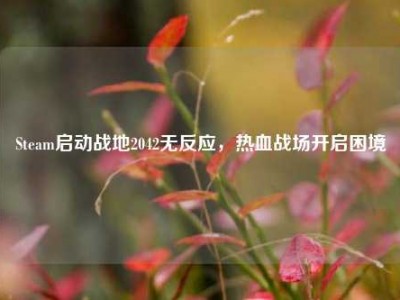 Steam启动战地2042无反应，热血战场开启困境
