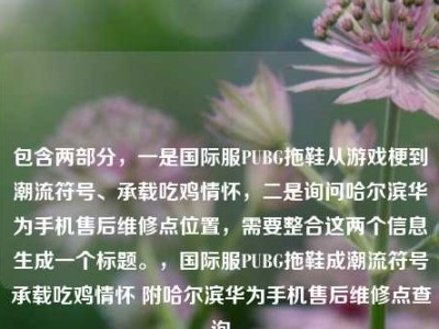 包含两部分，一是国际服PUBG拖鞋从游戏梗到潮流符号、承载吃鸡情怀，二是询问哈尔滨华为手机售后维修点位置，需要整合这两个信息生成一个标题。，国际服PUBG拖鞋成潮流符号承载吃鸡情怀 附哈尔滨华为手机售后维修点查询