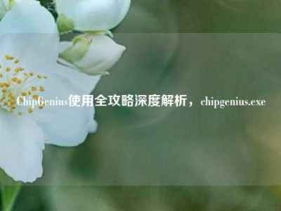 ChipGenius使用全攻略深度解析，chipgenius.exe