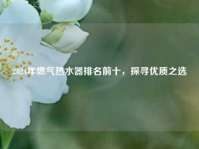 2024年燃气热水器排名前十，探寻优质之选