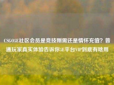 CSGO5E社区会员是竞技刚需还是情怀充值？普通玩家真实体验告诉你5E平台VIP到底有啥用