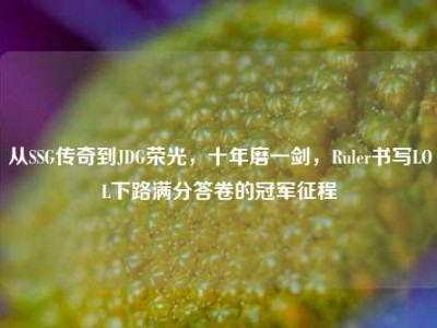 从SSG传奇到JDG荣光，十年磨一剑，Ruler书写LOL下路满分答卷的冠军征程