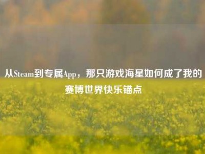 从Steam到专属App，那只游戏海星如何成了我的赛博世界快乐锚点