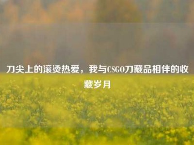 刀尖上的滚烫热爱，我与CSGO刀藏品相伴的收藏岁月