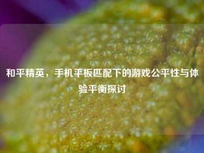 和平精英，手机平板匹配下的游戏公平性与体验平衡探讨
