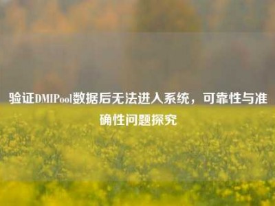 验证DMIPool数据后无法进入系统，可靠性与准确性问题探究