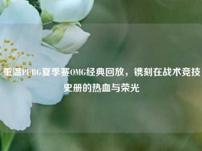 重温PUBG夏季赛OMG经典回放，镌刻在战术竞技史册的热血与荣光