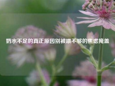 奶水不足的真正原因别被喂不够的焦虑掩盖