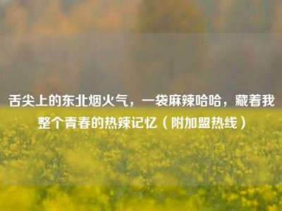舌尖上的东北烟火气，一袋麻辣哈哈，藏着我整个青春的热辣记忆（附加盟热线）