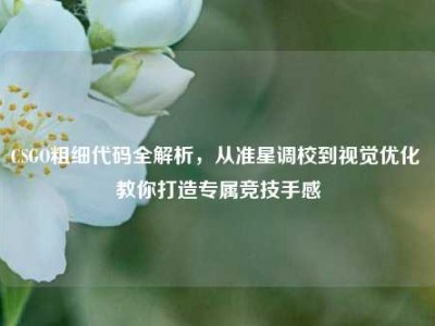 CSGO粗细代码全解析，从准星调校到视觉优化 教你打造专属竞技手感