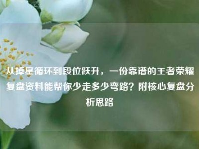 从掉星循环到段位跃升，一份靠谱的王者荣耀复盘资料能帮你少走多少弯路？附核心复盘分析思路