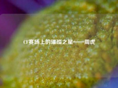 CF赛场上的璀璨之星——周虎