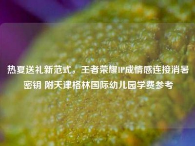 热夏送礼新范式，王者荣耀IP成情感连接消暑密钥 附天津格林国际幼儿园学费参考