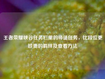 王者荣耀峡谷任务栏里的师徒任务，比段位更珍贵的羁绊及查看方法