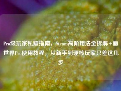 Pro级玩家私藏指南，Steam高阶用法全拆解+画世界Pro使用教程，从新手到硬核玩家只差这几步