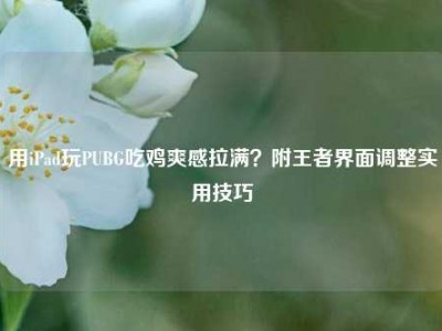 用iPad玩PUBG吃鸡爽感拉满？附王者界面调整实用技巧