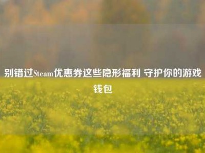 别错过Steam优惠券这些隐形福利 守护你的游戏钱包