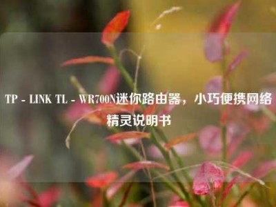 TP - LINK TL - WR700N迷你路由器，小巧便携网络精灵说明书