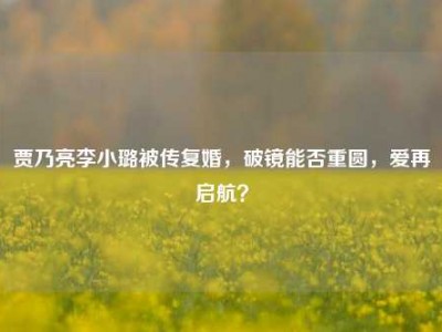贾乃亮李小璐被传复婚，破镜能否重圆，爱再启航？
