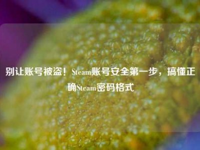别让账号被盗！Steam账号安全第一步，搞懂正确Steam密码格式
