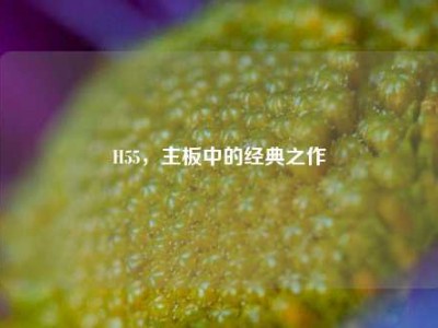 H55，主板中的经典之作