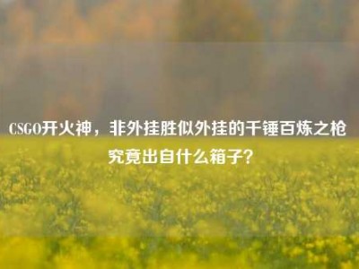 CSGO开火神，非外挂胜似外挂的千锤百炼之枪 究竟出自什么箱子？