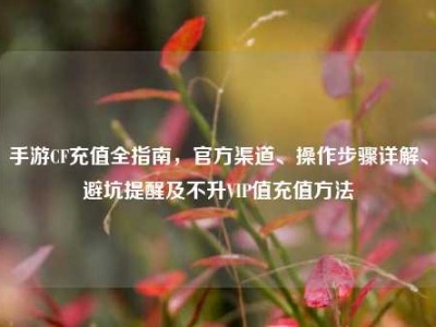 手游CF充值全指南，官方渠道、操作步骤详解、避坑提醒及不升VIP值充值方法