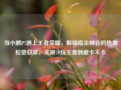 当小鹏P7遇上王者荣耀，解锁指尖峡谷的热血松弛日常，实测7P玩王者到底卡不卡