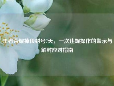 王者荣耀掉段封号7天，一次违规操作的警示与解封应对指南