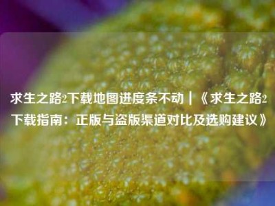 求生之路2下载地图进度条不动｜《求生之路2下载指南：正版与盗版渠道对比及选购建议》