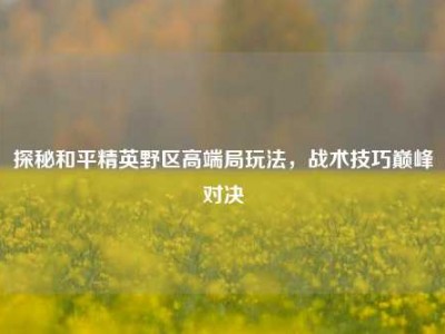 探秘和平精英野区高端局玩法，战术技巧巅峰对决