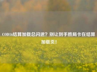 COD16结算加载总闪退？别让到手胜局卡在结算加载页！