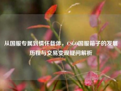 从国服专属到情怀载体，CSGO国服箱子的发展历程与交易变现疑问解析