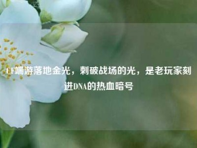 CF端游落地金光，刺破战场的光，是老玩家刻进DNA的热血暗号