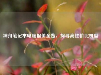 神舟笔记本电脑报价全览，探寻高性价比机型