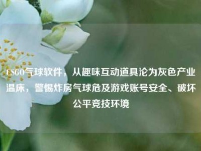 CSGO气球软件，从趣味互动道具沦为灰色产业温床，警惕炸房气球危及游戏账号安全、破坏公平竞技环境