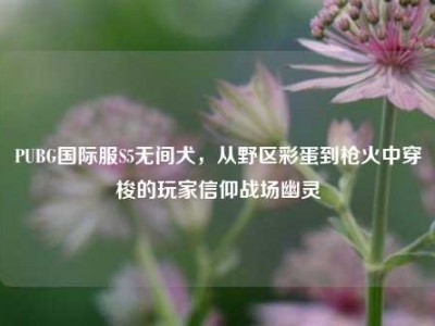 PUBG国际服S5无间犬，从野区彩蛋到枪火中穿梭的玩家信仰战场幽灵