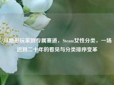 从隐形玩家到专属赛道，Steam女性分类，一场迟到二十年的看见与分类排序变革