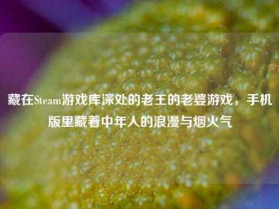 藏在Steam游戏库深处的老王的老婆游戏，手机版里藏着中年人的浪漫与烟火气