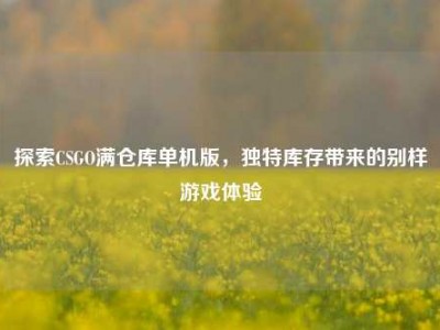 探索CSGO满仓库单机版，独特库存带来的别样游戏体验