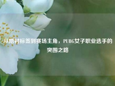 从陪衬标签到赛场主角，PUBG女子职业选手的突围之路