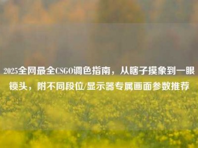 2025全网最全CSGO调色指南，从瞎子摸象到一眼锁头，附不同段位/显示器专属画面参数推荐