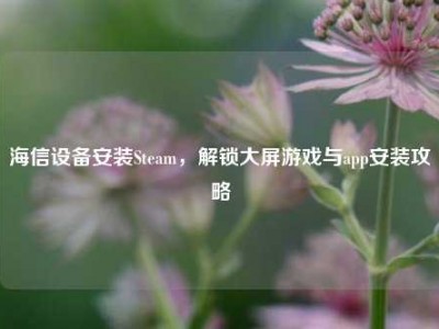 海信设备安装Steam，解锁大屏游戏与app安装攻略