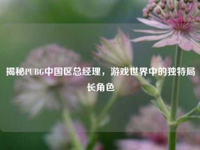 揭秘PUBG中国区总经理，游戏世界中的独特局长角色