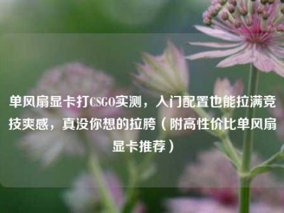 单风扇显卡打CSGO实测，入门配置也能拉满竞技爽感，真没你想的拉胯（附高性价比单风扇显卡推荐）
